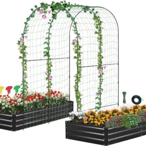 Galvanized Raised Garden Bed for Vegetables Flowers Herbs, Metal Raised Garden Bed Kit with Trellis, Plant Labels, Plant Ties, Black 6×3×1FT 2PCS