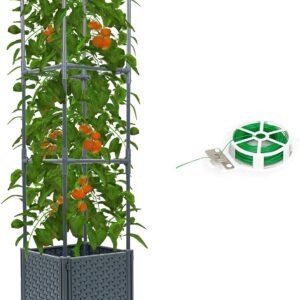 DXront Raised Garden Bed with Tomato Planter Box Trellis
