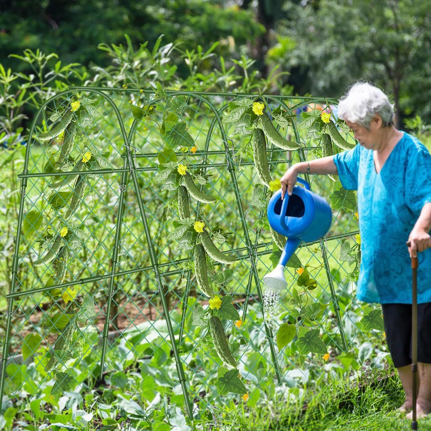 Cucumber Trellis for Raised Beds, 63 x 47 Inch Garden Arch Trellis for Climbing Plants Outdoors with Climbing Net, Detachable Cucumber Trellis Support for Tomato, Squash, Zucchini - Image 7