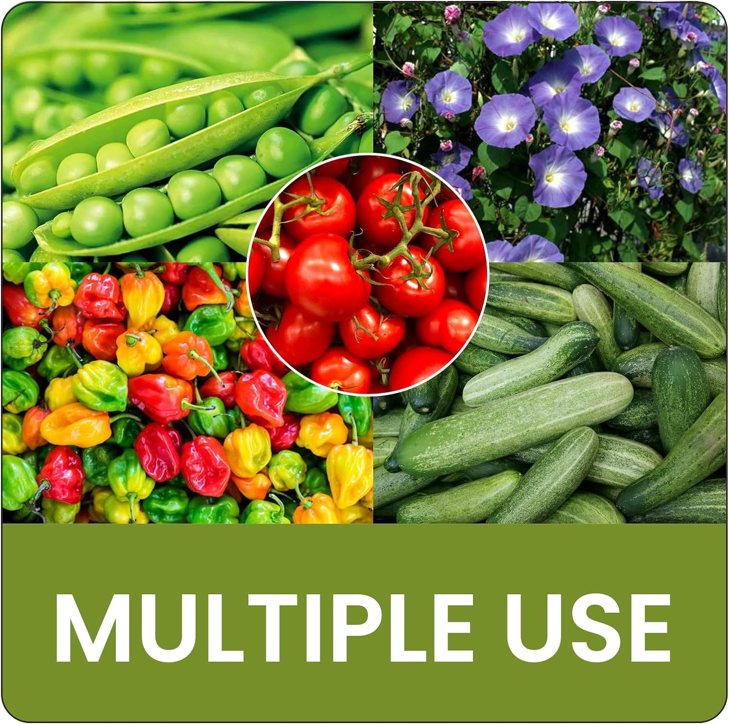 DXront Raised Garden Bed with Tomato Planter Box Trellis - Image 6