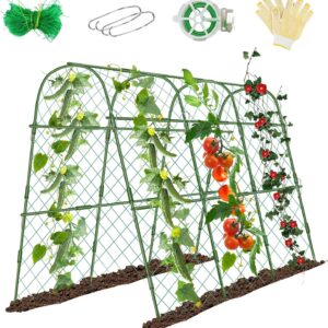 Cucumber Trellis for Raised Beds, 63 x 47 Inch Garden Arch Trellis for Climbing Plants Outdoors with Climbing Net, Detachable Cucumber Trellis Support for Tomato, Squash, Zucchini