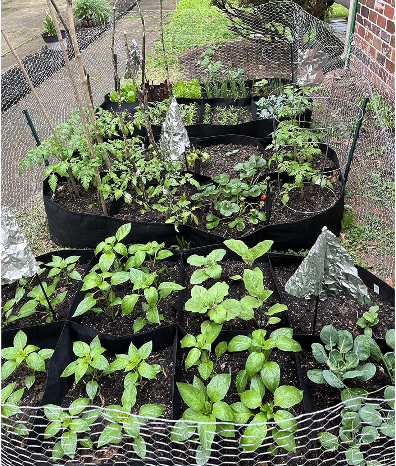 CJGQ Fabric Raised Garden Bed, 128 Gallon 8 Grids Plant Grow Bags, 3x6FT Breathable Planter Raised Beds for Growing Vegetables Potatoes Flowers, Rectangle Planting Container for Outdoor Gardening - Image 5