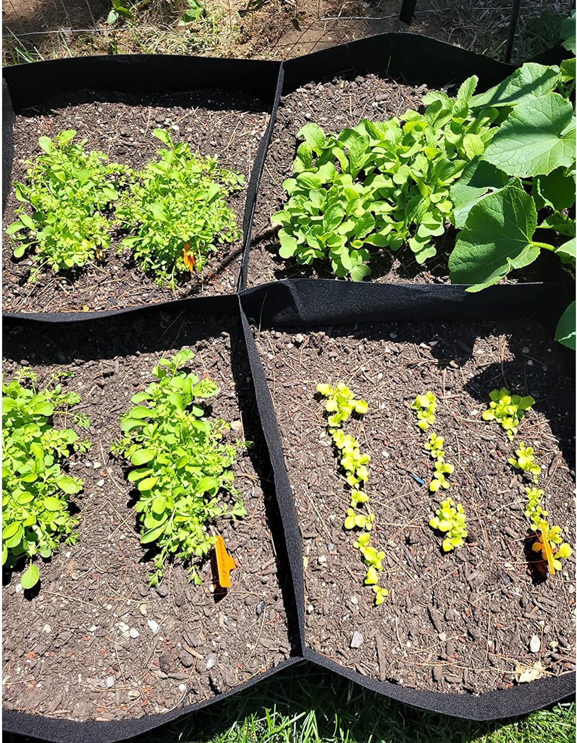 CJGQ Fabric Raised Garden Bed, 128 Gallon 8 Grids Plant Grow Bags, 3x6FT Breathable Planter Raised Beds for Growing Vegetables Potatoes Flowers, Rectangle Planting Container for Outdoor Gardening - Image 6